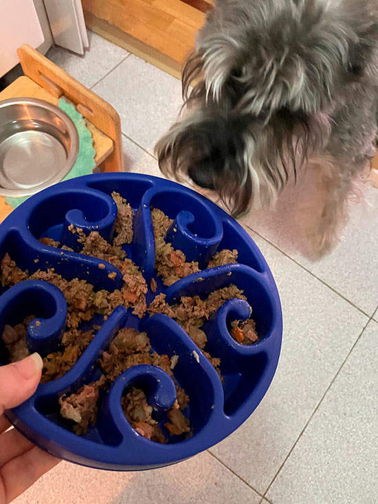 Mi experiencia real con Rovinfood y Food for Joe