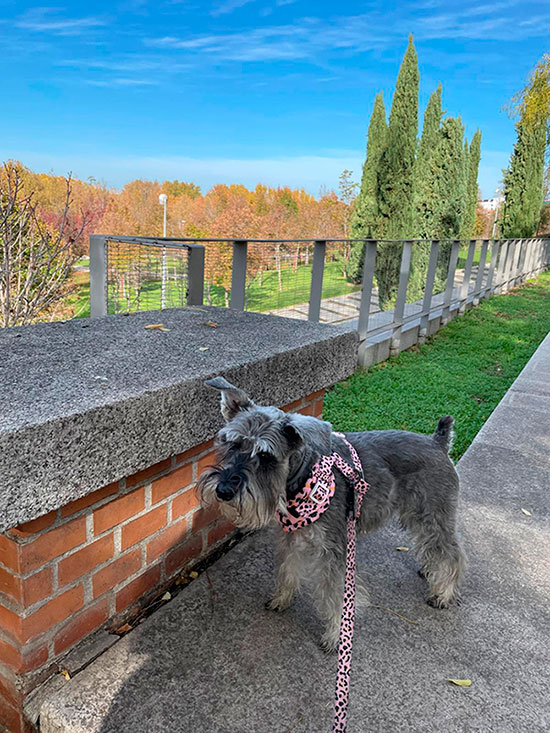 Madrid Río - Puente de Segovia