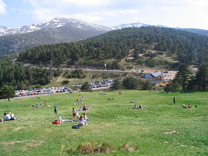 Pradera del Puerto de Cotos