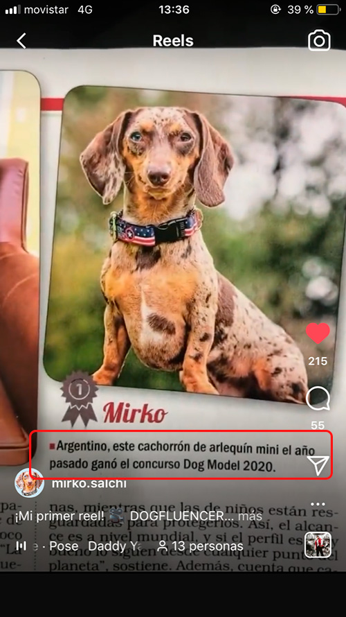 perros influencers argentina