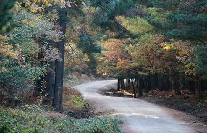 Senda del Valle del Paular