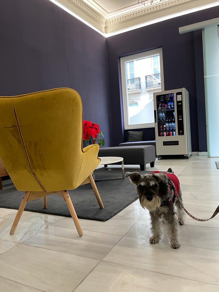Hotel Pet friendly - Alda Alborán Rooms - A Coruña