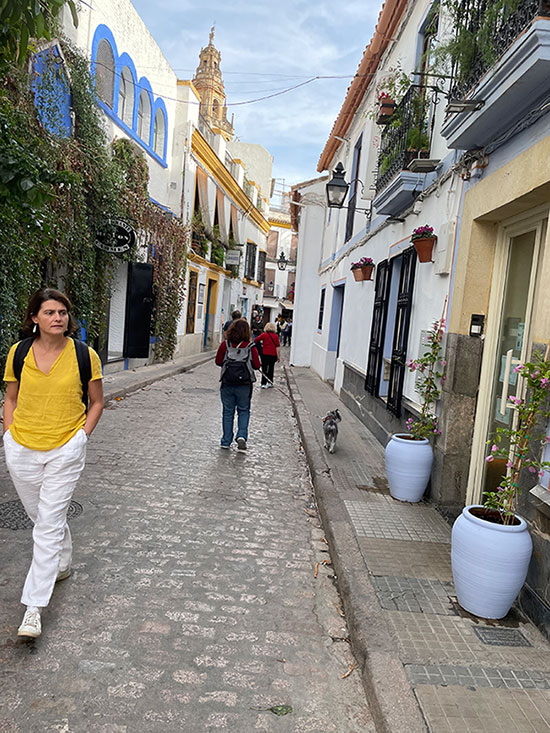 Andalucía con perro