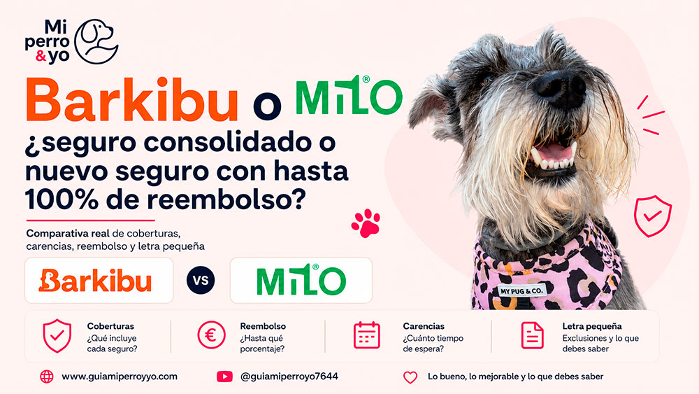 Barkibu o Milo, ¿cuál es mejor para perros?