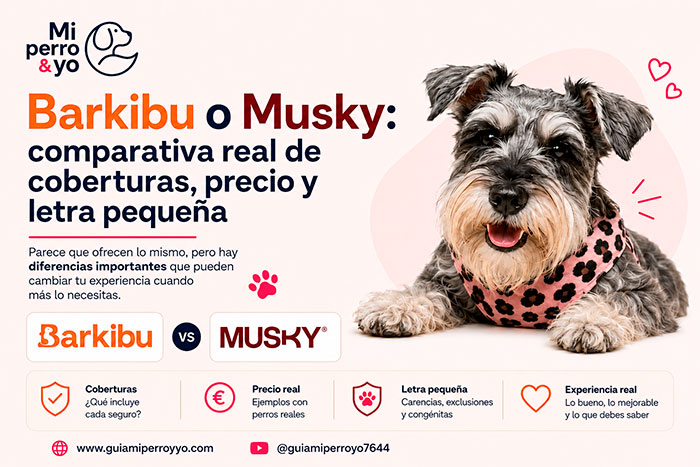 Barkibu o Musky, ¿cuál es mejor?