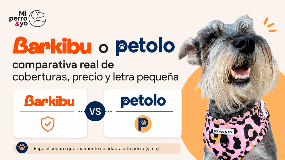 Barkibu vs Petolo, ¿cuál es mejor?