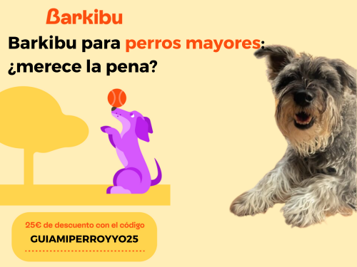 Barkibu para perros mayores, ¿merece la pena?