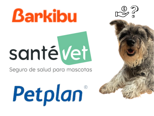 Barkibu Santévet o Petplan, ¿cuál es mejor?