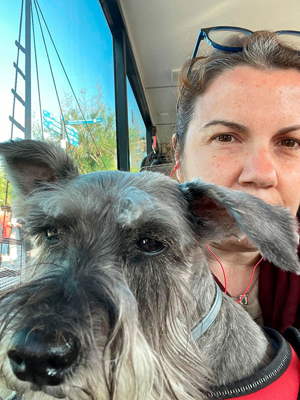 Bus turístico con perro en Santander 