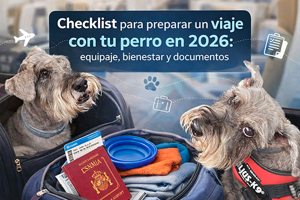 Checklist para preparar viaje con perros