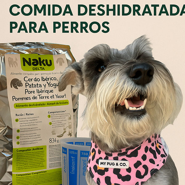 Comida deshidratada para perros beneficios