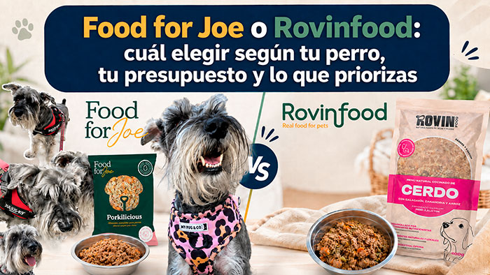 Food for Joe vs Rovinfood, cuál es mejor