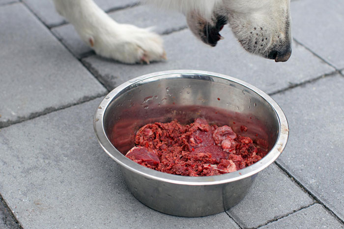 Guia Barf en Madrid para perros