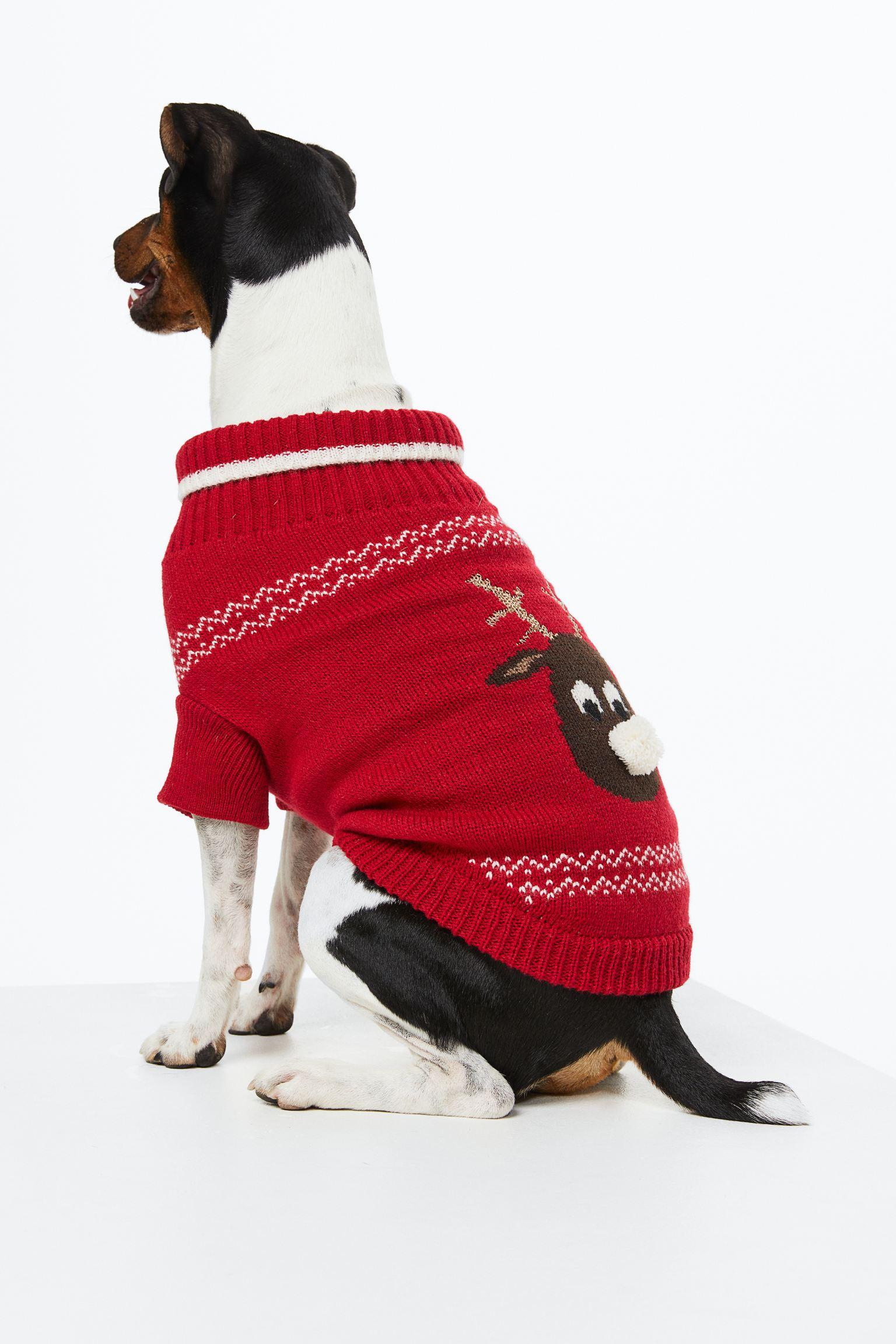Regalo jersey navideño para perro H&M