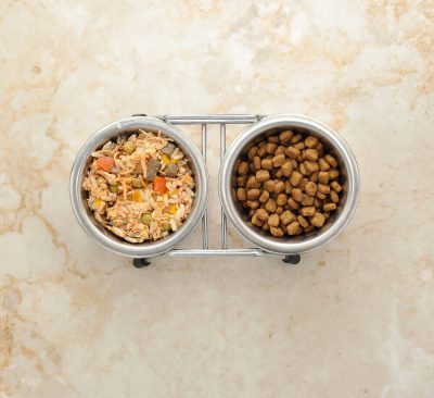 Mejor comida cocinada para perros