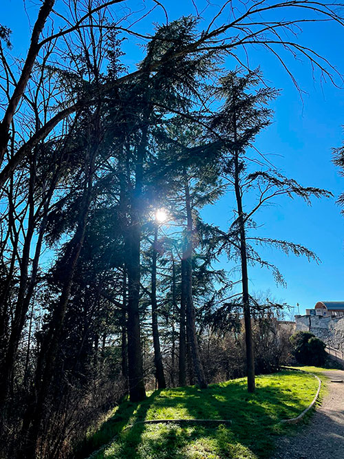 Sendero hacia el Mirador del Castillo en Burgos