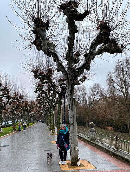 Paseo del Espolón - Viaje a Burgos con perro