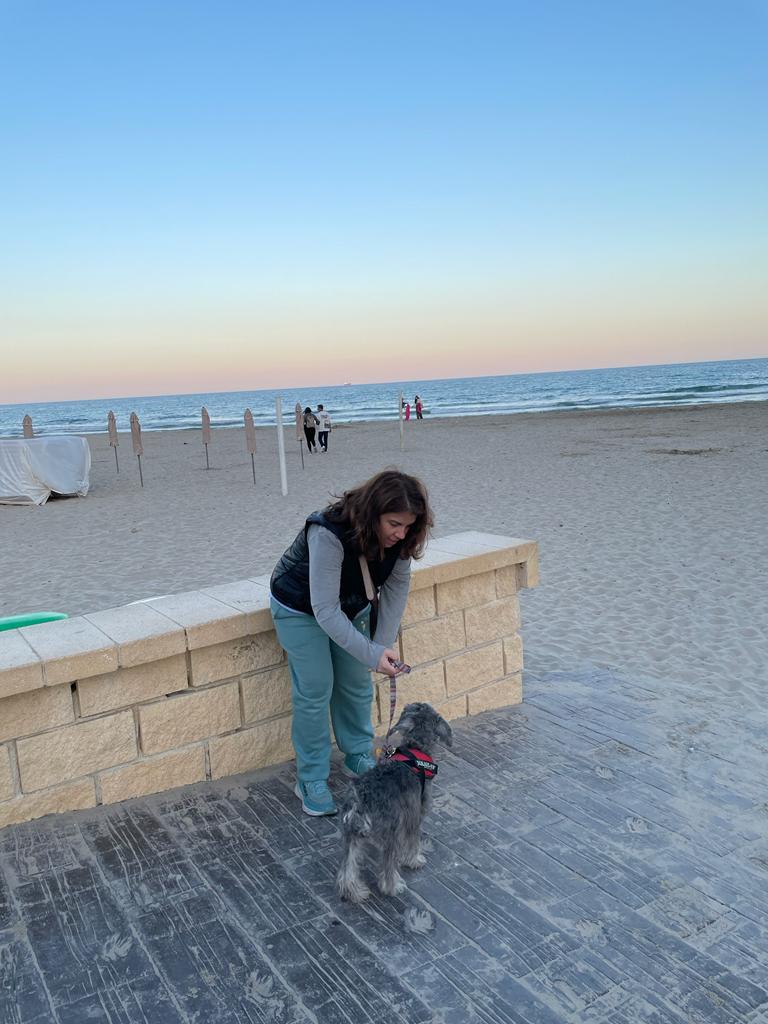 playas que admiten perros en Alicante