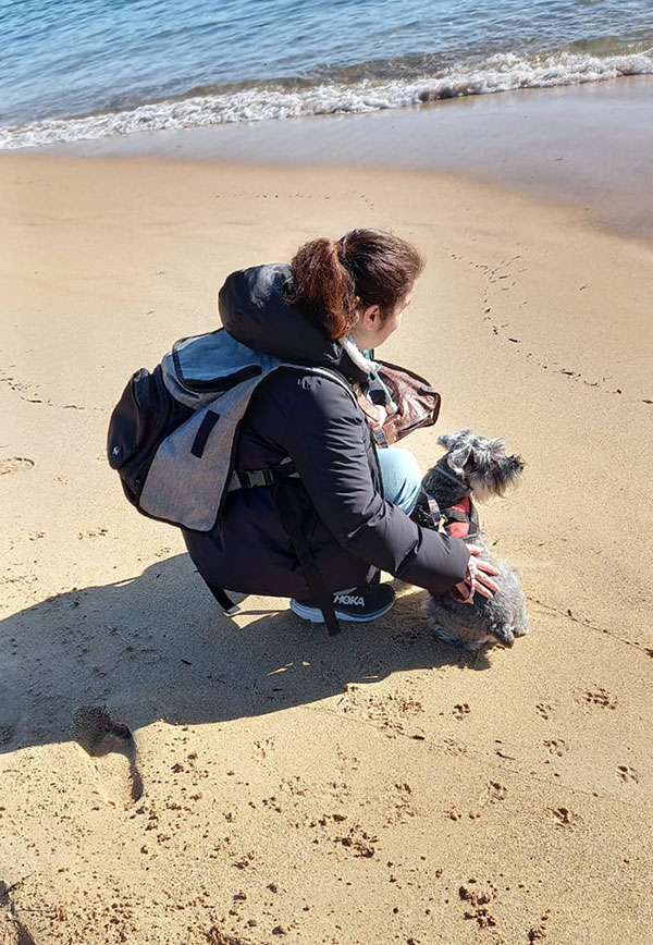 Playas para perros a coruña Galicia