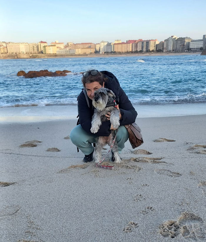 Perro en playa de Galicia