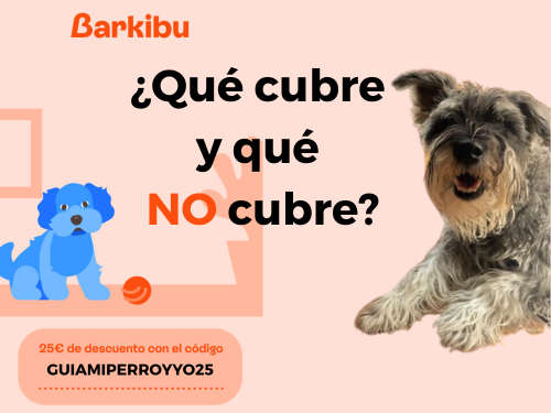Qué cubre Barkibu
