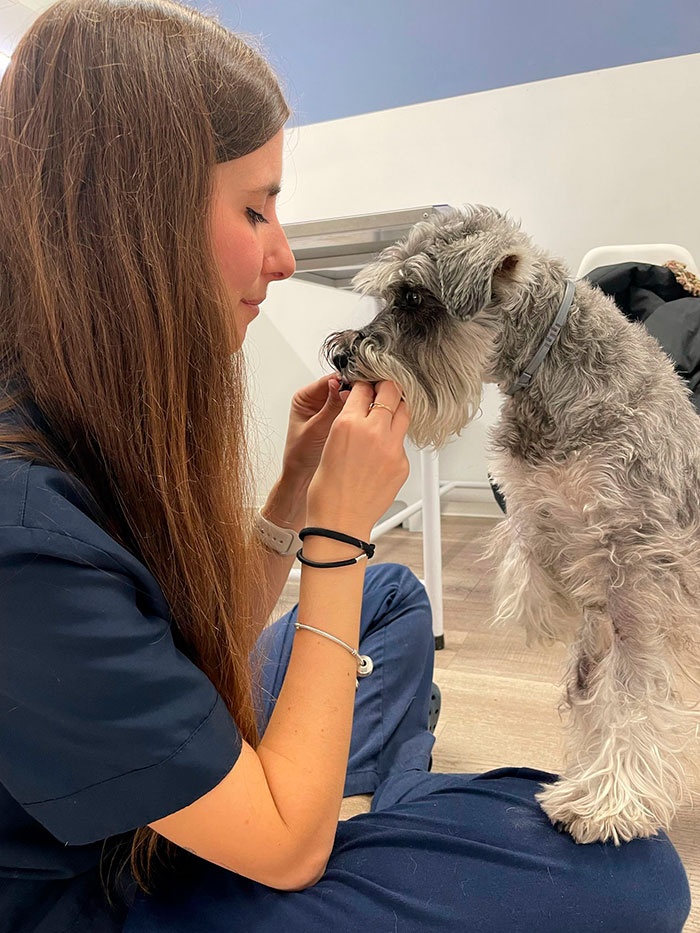 Perro con su veterinaria para uso del seguro veterinario Barkibu