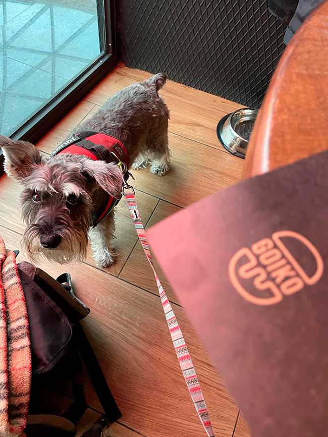 Perro en Goiko Restaurante Pet friendly - Centro comercial Marineda City A Coruña